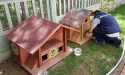 Eskişehir'in 3 sokağında kedi evleri kaldırıldı: Odunpazarı Belediyesi'nden açıklama geldi