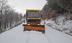 Eskişehir'in kırsalı beyaza büründü