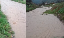Yağışlar etkisini gösterdi: Eskişehir'de yıllardır kuru kalan dere yeniden akmaya başladı