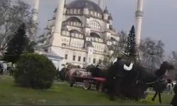 Vicdanları sızlatan görüntü: Yol ortasında atına işkence uyguladı