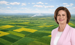 Başkan Ünlüce müjdeyi verdi! Termik santral planı durduruldu