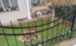 Eskişehir'de gören bir daha bakıyor: Hem şaşırtıyor hem korkutuyor