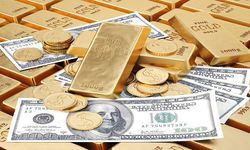 Altın ve doları bekleyen tufan açıklandı: Ünlü ekonomist korkutan haberi verdi