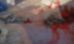 Eskişehir'de kan gölünü sansürsüz paylaştı