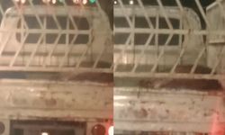 Eskişehir'de mide bulandıran iddia: Atı kesip, kamyonette taşıdılar!