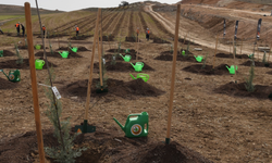 Eskişehir Orman Bölge Müdürlüğü duyurdu: Etkinlik ertelendi