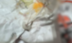 Eskişehir'de karnını doyurmak isterken canından olacaktı! Yemekten çıkan şoke etti