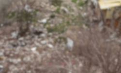 Eskişehir'de vatandaşın tepkisini çeken görüntü!