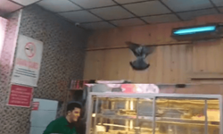 Eskişehir'de iftar vakti ortalığı karıştırdı: Güç bela dışarı çıkardılar