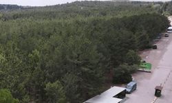 Eskişehir'de zehir tacirleri bu kez ormanda suçüstü yakalandı