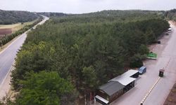 Eskişehir'de yarın binlerce kişi o noktada buluşacak