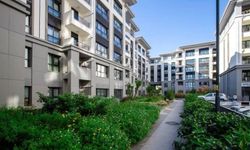 Ev sahiplerini korkutan haber geldi: Uzmanlar sebebini açıkladı