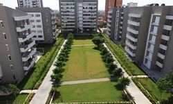 Evlerde yeni dönem: Artık yerler bu madde ile kaplanacak