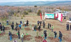 Eskişehir'de 100 fidan toprakla buluştu