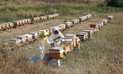 Odunpazarı'nda eğitim başladı: Yüzlerce kişi katıldı