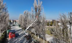 Sazova'da güvenlik öncelikli çalışmalar sürüyor