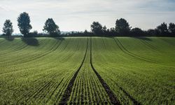 Tarım arazisi olanlar için kritik karar: Haberi olmayanlar ceza alabilir