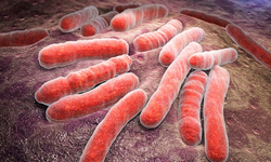 Sinsice yayılıyor: Eskişehir'den vatandaşlara çağrı! Bu belirtileri görmezden gelmeyin