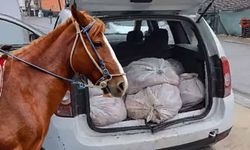 Vatandaşa yedireceklerdi: 306 kilo satışa hazır at eti ele geçirildi