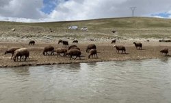 120 bin TL teklif ediliyor ama kimse kabul etmiyor: Gençler artık tercih etmiyor