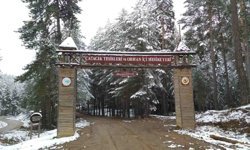 Eskişehir'deki orman parkının içine yeni lokanta ve büfe açılacak