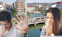 Milyonlarca kişiyi etkiliyor: Eskişehir ve çevresi için en büyük alerjik tehdit belli oldu