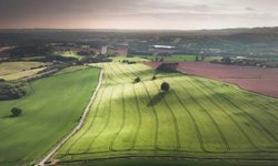 Eskişehir’de hazine arazisi ihaleye çıkıyor: Detaylar belli oldu