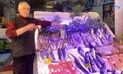 Dönemsel yasak uygulaması başladı: Eskişehir'de balık fiyatları ne durumda?