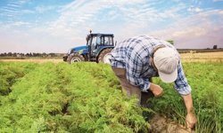 İnönü Belediyesi'nden zirai ilaçlama yapan çiftçilere destek