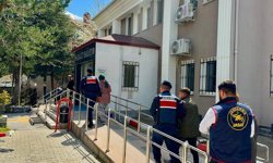 Genç kadının ölümünde cinayet şoku! Gerçek aylar sonra ortaya çıktı