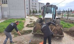 Mahalle sakinleri talep etti, Başkan Hamamcı talimatı verdi: Çalışmalar başladı