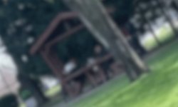 Eskişehir'de pes dedirten görüntüler: Saklanma ihtiyacı bile duymadılar