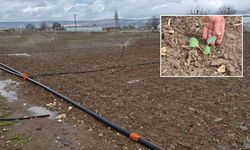 Eskişehir'de çiftçiler üretime başladı ama yüzler gülmüyor