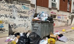 Eskişehir’de çöpler konteynerlardan sokağa taştı