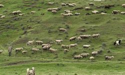 Eskişehir’de 6 bin yıllık sır: Katman katman ortaya çıkıyor