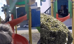 Eskişehir'de çocuk parkında endişelendiren görüntü! Muhtar tepki gösterdi