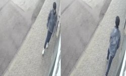 Eskişehir'de damacana üzerinde duran su parasına göz dikti