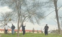 Eskişehir'de mangal yakmak için ağaç dalını kırmaya çalıştılar