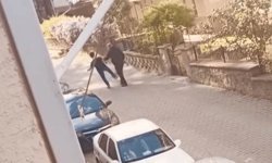 Eskişehir'de tepki çeken olay: Kediye tekme attı