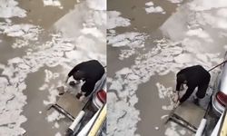 Eskişehir'de vatandaş isyan etti: Sokak yine göl oldu
