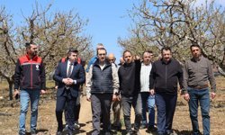 Fatih Dönmez, kiraz üreticileriyle buluştu