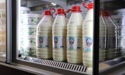 Eskişehir'de Halk Süt projesi büyüyor