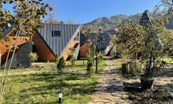 Hobi bahçeleri için yeni düzenleme: Kimlere yaptırım uygulanmayacağı belli oldu