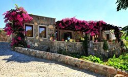 BM listesi açıklandı: Türkiye’den 4 köy dünya listesinde