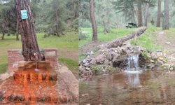 Şişesini alan geliyor! Eskişehirliler maden suyu çeşmesine akın ediyor