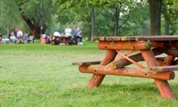 Eskişehir'de nerelerde piknik yapılır? İşte en güzel mesire alanları