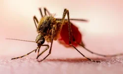 Havalar ısınmaya başladı, Eskişehir İl Sağlık Müdürlüğü'nden uyarı geldi