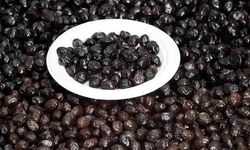 40 yıllık zeytin firması iflasın eşiğinde: 3 ay süre verildi