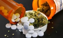 Eskişehir'de zehir tacirlerine darbe! 2 tondan fazla uyuşturucu 1 milyondan fazla hap ele geçirildi