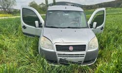 Trafik levhasına çarpan sürücü hayatını kaybetti
